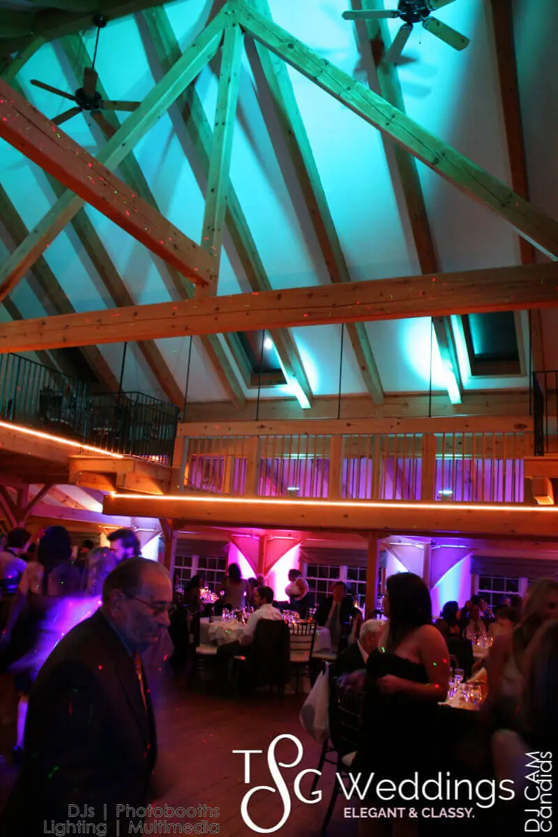Wedding celebration and lighting at Zorvino Vineyards, gallery photo 3