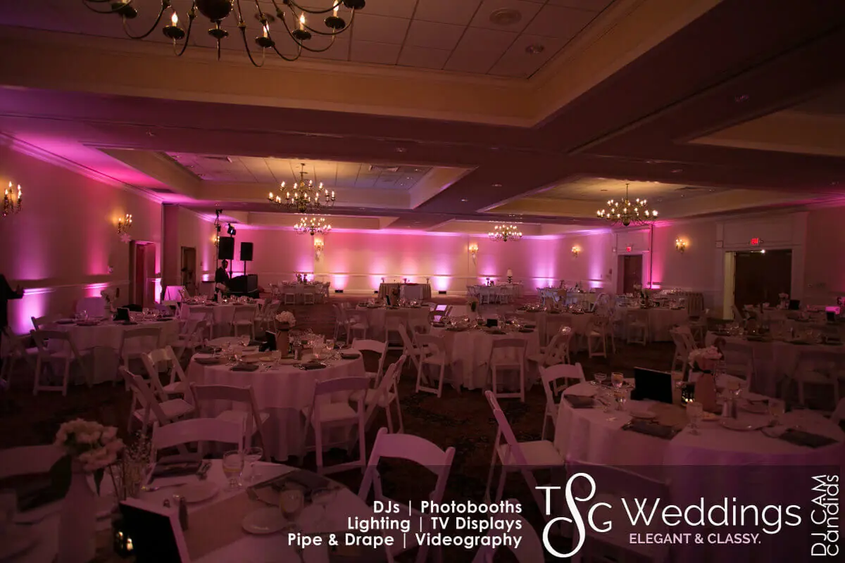 Wedding celebration and lighting at Host Hotel & Conference Center, gallery photo 5