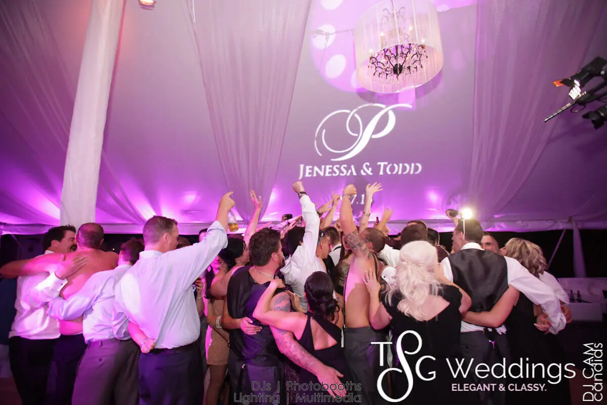Wedding celebration and lighting at Searles Castle, gallery photo 8
