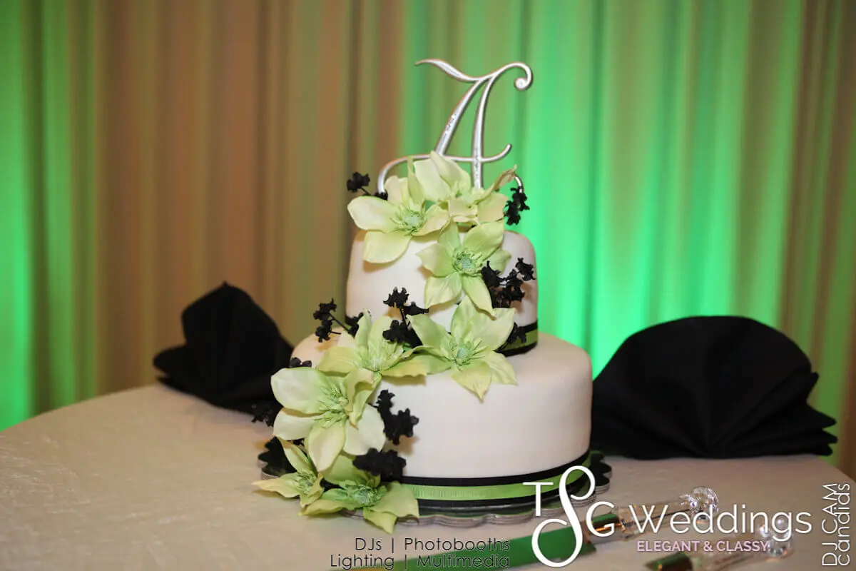 Wedding celebration and lighting at Castleton Banquet & Conference Center, gallery photo 1