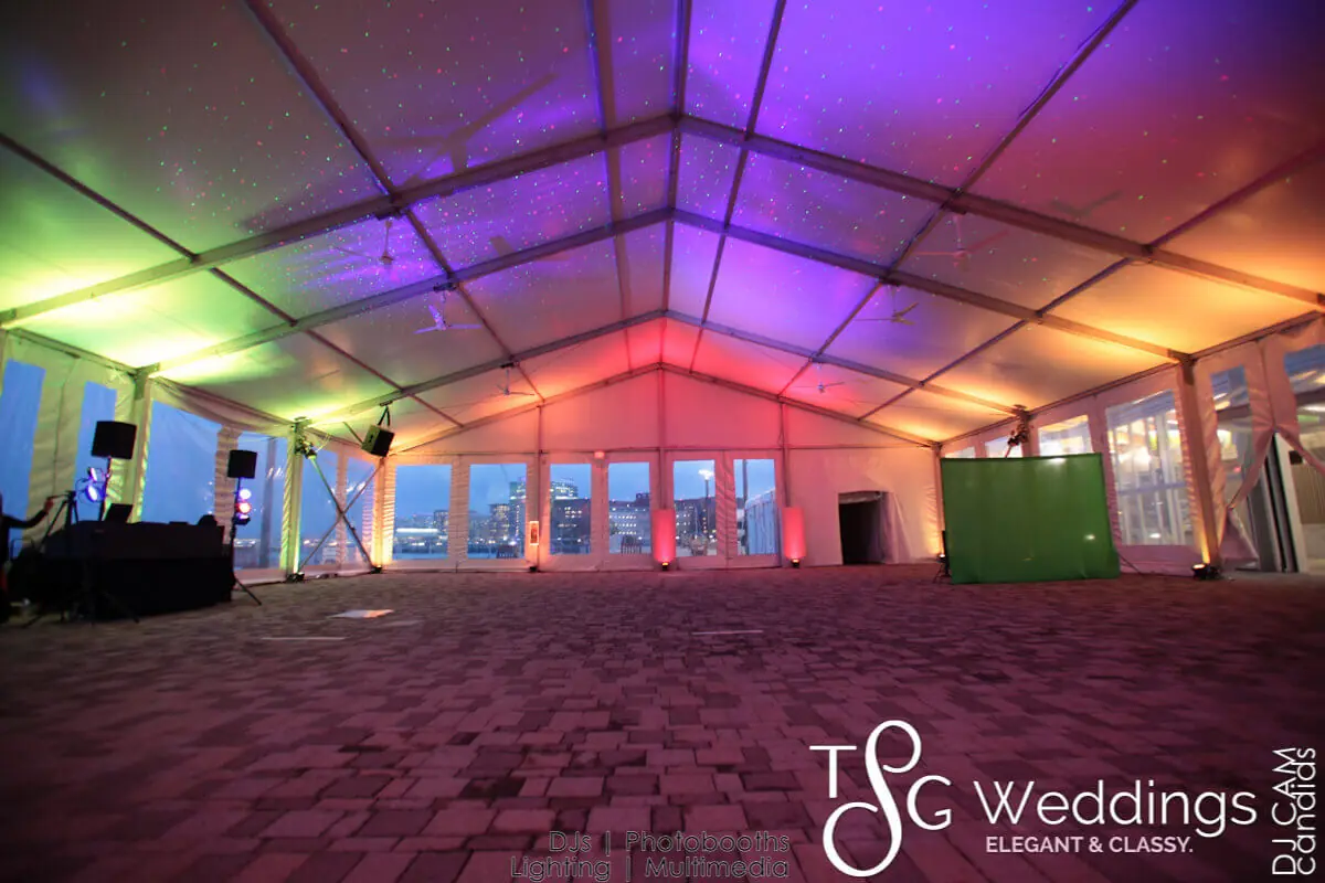 Wedding celebration and lighting at New England Aquarium, gallery photo 2