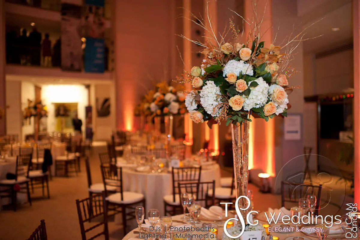 Wedding celebration and lighting at Peabody Essex Museum, gallery photo 20