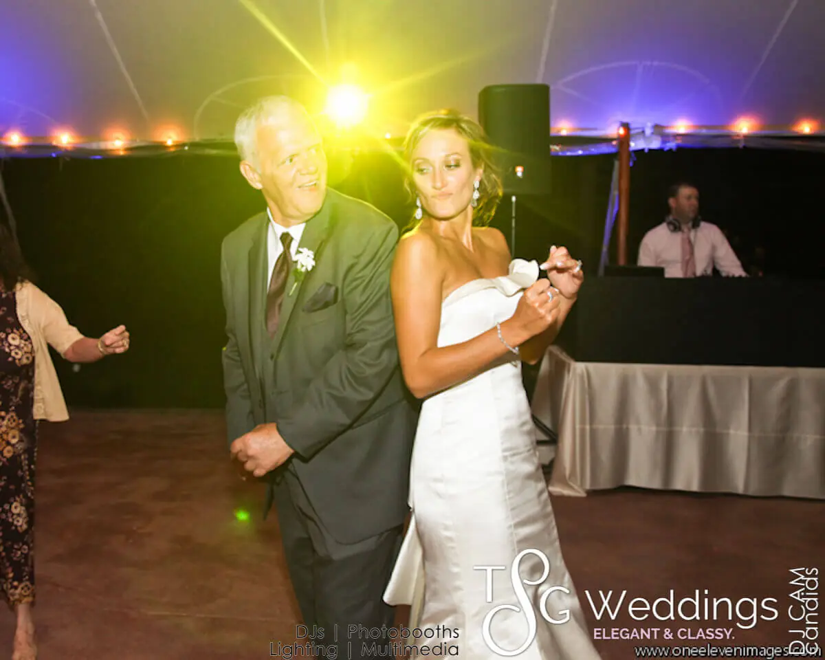 Wedding celebration and lighting at Willowdale Estate, gallery photo 4
