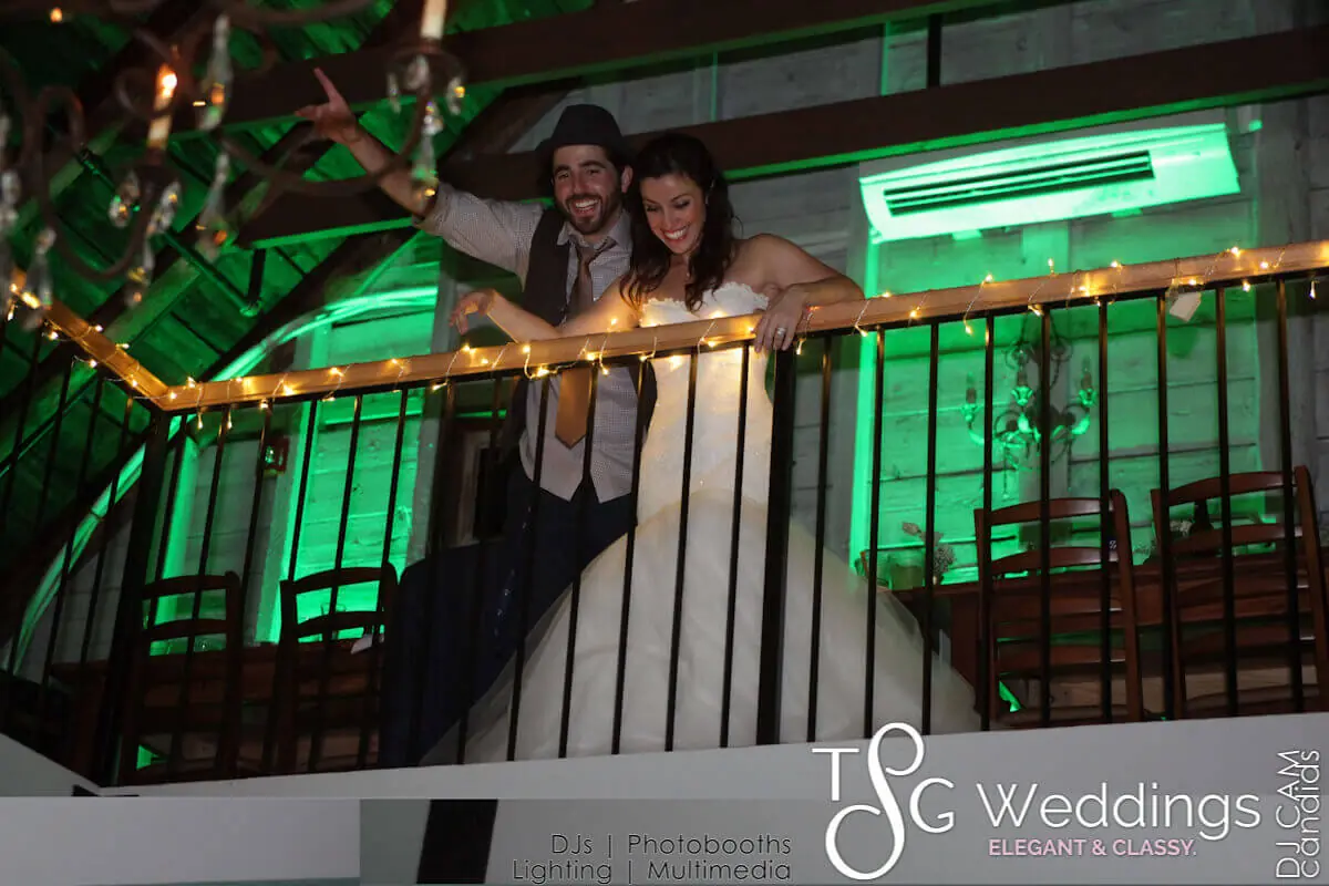 Wedding lighting at Hardy Farm