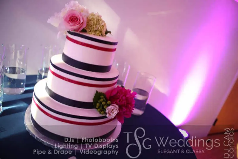 Wedding celebration and lighting at Heritage Museum And Gardens, gallery photo 7