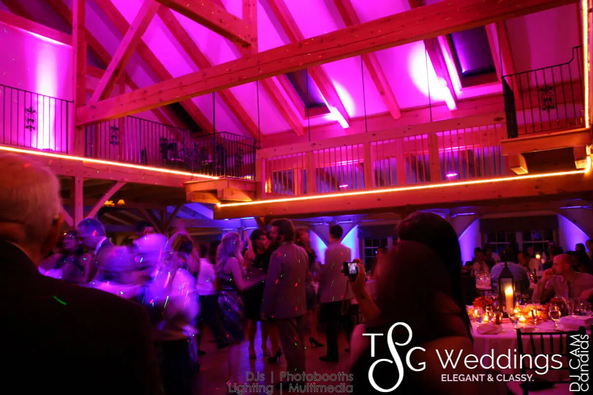 Wedding celebration and lighting at Zorvino Vineyards, gallery photo 2